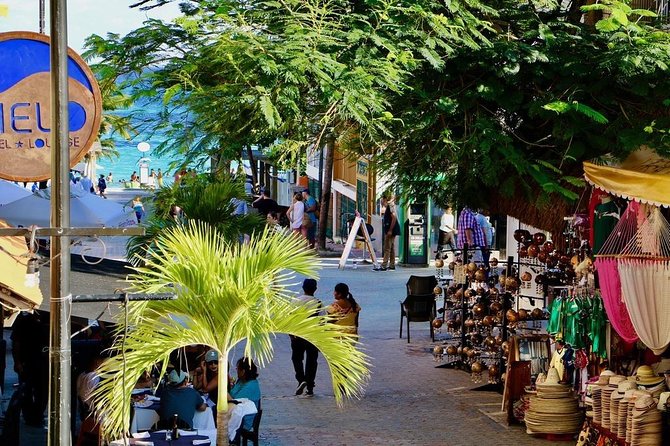 Discover Tulum, Visit Coba And Swim In A Real Mayan Cenote and Playa del carmen - Is $119 good value?