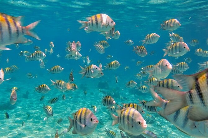 Discovering Isla Mujeres on a Double Decker Catamaran - Isla Mujeres, from beach club to town streets
