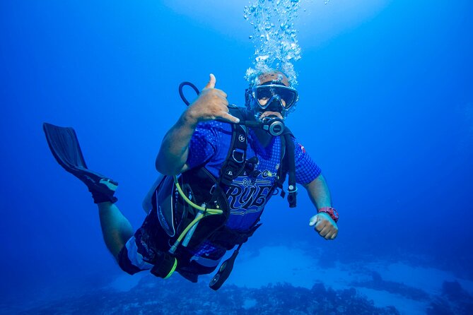 Discovery Scuba Diving !! - Who will enjoy this most