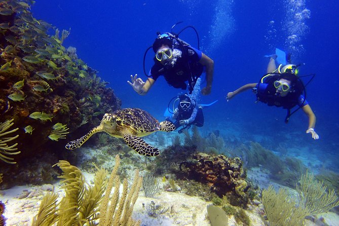 Diving in Cancun for Certified Divers | 2 Dives | All Inclusive - Equipment, boat, snacks, and what to bring