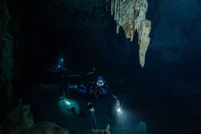 Diving in Cenotes: discovering the Mayan Underworld - Lunch, rest, and the second water session