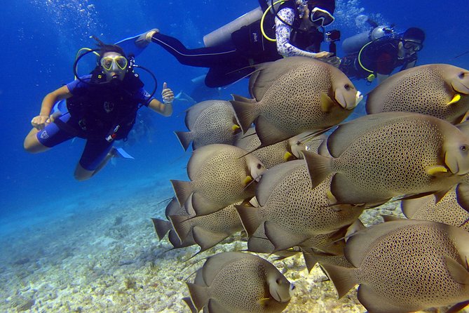 Diving in the Mexican Caribbean for Beginners | 2 Tanks 2 Dives | All Inclusive - First underwater stop: MUSA at 33 feet
