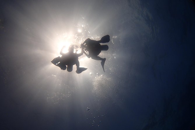 Diving in the Mexican Caribbean for Beginners | 2 Tanks 2 Dives | All Inclusive - Second underwater stop: a natural Caribbean reef