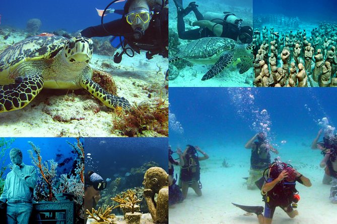 Diving + Muse - Weather, cancellations, and the 24-hour rule