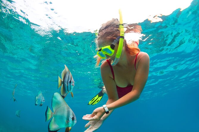 Drive an Speedboat + Mayan Ritual + Food Tasting and More! - A Small but Flavorful Yucatecan Tasting