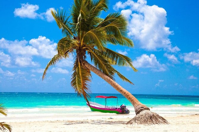 Eco Adventure At 3 Cenotes & 1 Lagoon ! From Cancun & Riviera - What the $142 Price Actually Covers