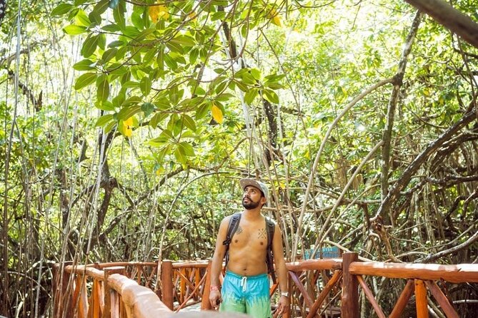 Eco Park Casa Tortuga Cenotes and Tulum Ruins! Riviera Maya Round Transportation - Pickup details can shape your morning