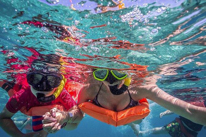 Eco Whale Shark Encounter - Isla Contoy waters and the nature setting