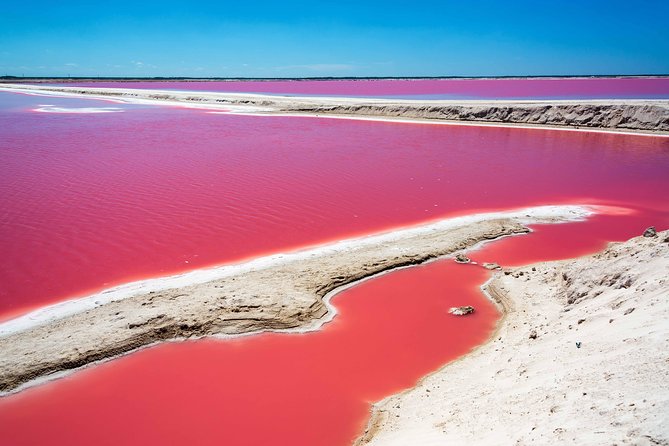 Ek Balam, Rio Lagartos and Las Coloradas Private Tour from Cancun - Why this private day trip covers so much ground
