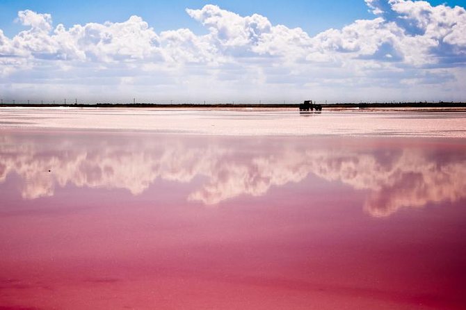 Ek Balam, Rio Lagartos and Las Coloradas Private Tour from Cancun - Rio Lagartos by private boat
