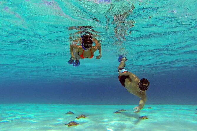 El cielo Cozumel From Cancún and round Transfer with Lunch - Your Cancún pickup starts before the posted 7:00 am time