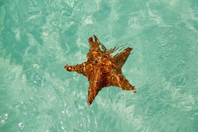 El cielo Cozumel From Cancún and round Transfer with Lunch - El Cielo is the centerpiece of the water time