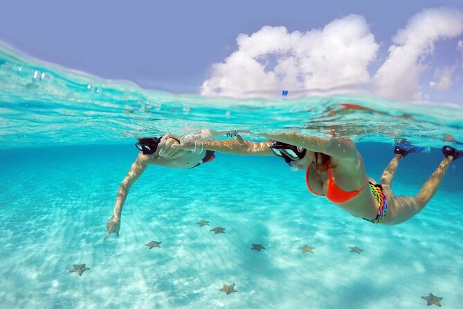 El cielo Cozumel From Cancún and round Transfer with Lunch - Colombia Reef adds another underwater stop
