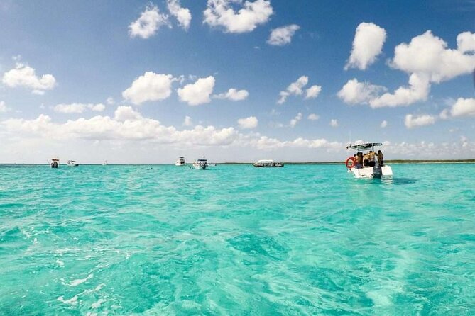 El cielo Cozumel From Cancún and round Transfer with Lunch - Lunch comes in two forms, so read the inclusions carefully