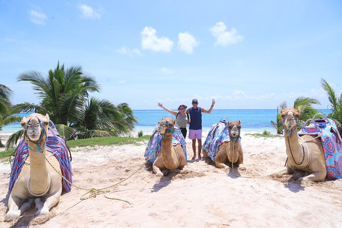 ENJOY UNIQUE CAMEL RIDE in Puerto Morelos with Transportation - What Happens at El Dorado Maroma