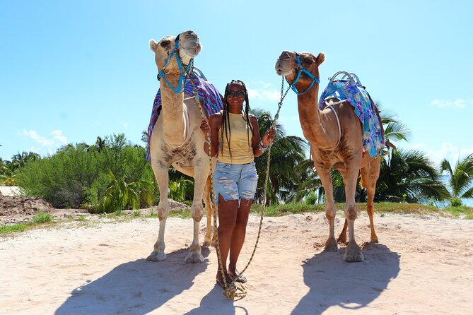ENJOY UNIQUE CAMEL RIDE in Puerto Morelos with Transportation - The Main Complaints You Should Take Seriously