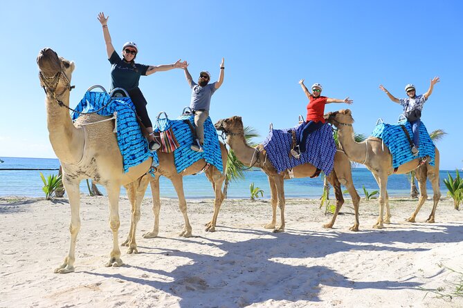 ENJOY UNIQUE CAMEL RIDE in Puerto Morelos with Transportation - The 45-Minute Caravan