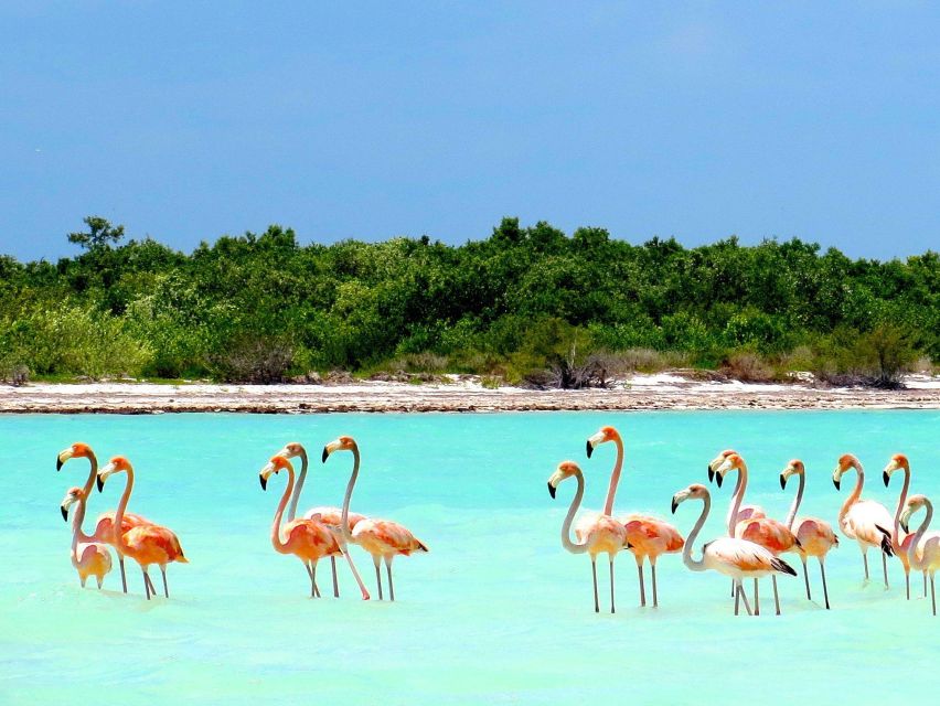 Exclusive Holbox: Yalahau, Punta Mosquito and Isla Pasion - Why this Holbox day trip works