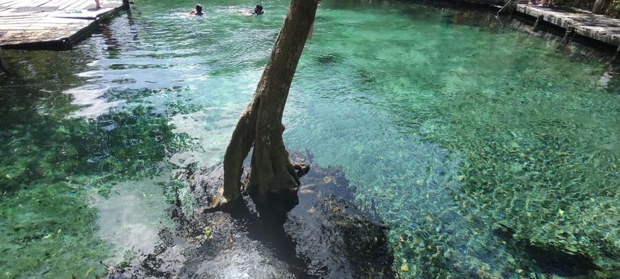 Exclusive Holbox: Yalahau, Punta Mosquito and Isla Pasion - Punta Mosquito and the wide white sandbanks