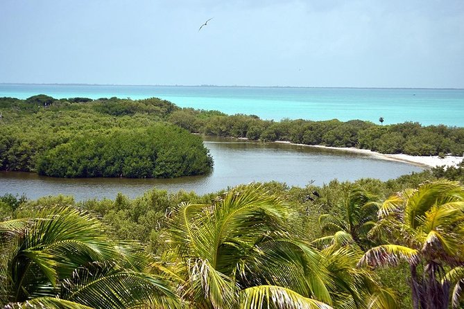 Excursion Isla Contoy & Isla Mujeres from Cancun - One hour on Isla Mujeres
