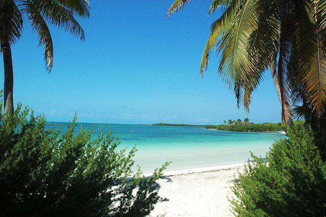 Excursion Isla Contoy & Isla Mujeres from Cancun - The open bar changes the feel of the ride
