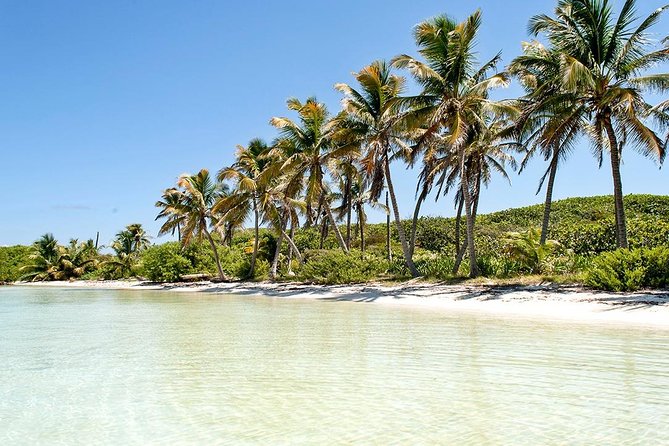 Excursion Isla Contoy & Isla Mujeres from Cancun - Walking Isla Contoy and its lagoon