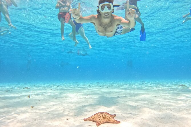 Excursion to Cozumel from Cancun - Key points to know before booking