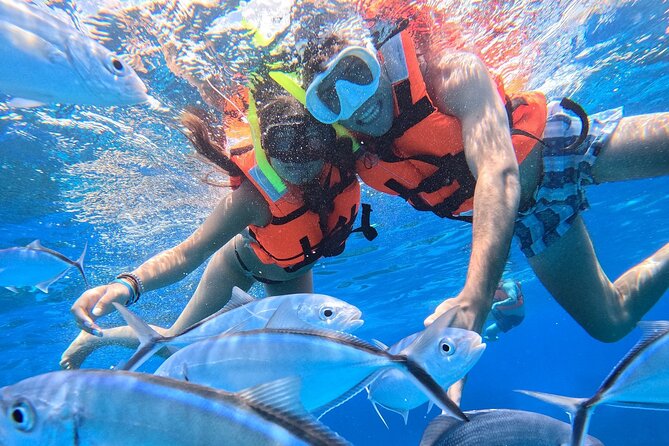 Excursion to Cozumel from Cancun - Who will enjoy this Cozumel day trip