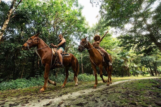 Experience ATV, Ziplines, Cenote and Horses Ride in Cancún - Four jungle activities packed into one Cancun outing