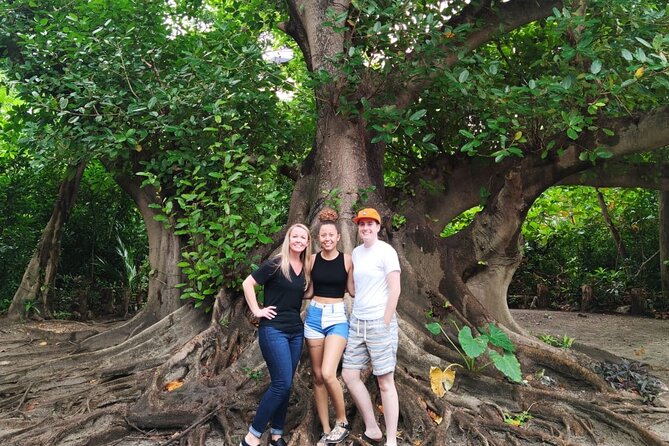 Experience Cancun's Hidden Gems, Mayan museum, cenote & Market 23 - What the $213.35 price really includes