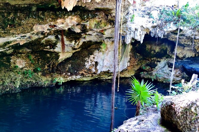 Experience Cancun's Hidden Gems, Mayan museum, cenote & Market 23 - Practical details that affect your decision