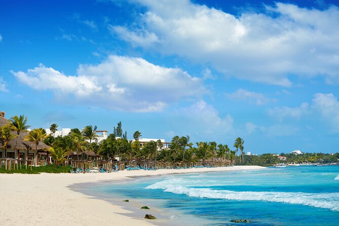Experience swimming with turtles and explore the ruins of Tulum. Lunch included. - Who Will Enjoy This Day Most?