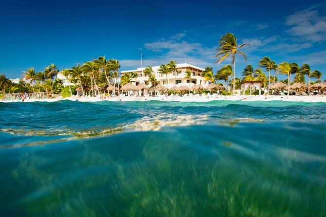 Experience swimming with turtles and explore the ruins of Tulum. Lunch included. - Should You Book the Tulum and Akumal Tour?