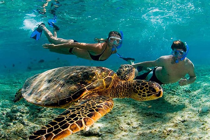 Experience swimming with turtles and explore the ruins of Tulum. Lunch included. - Cenote No-ho Much and the Schedule Question