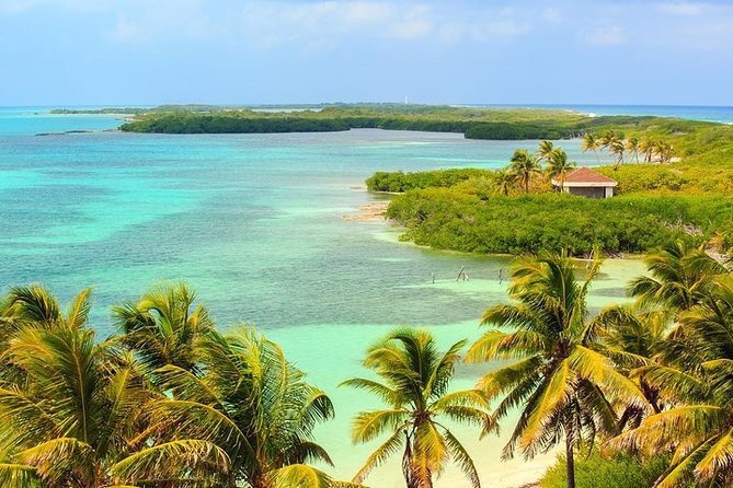 Explore Contoy Island - The guide and service side of the day