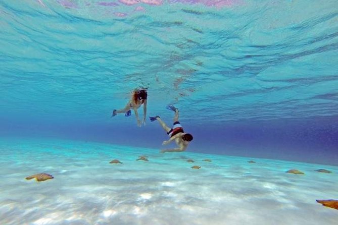 Explore El Cielo in Cozumel. Snorkel in 3 different reefs & visit Cielito Beach. - Reaching Cozumel by ferry