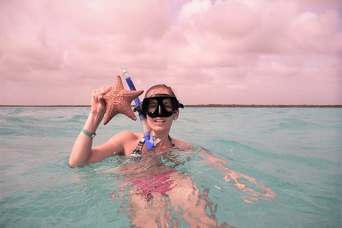 Explore El Cielo in Cozumel. Snorkel in 3 different reefs & visit Cielito Beach. - Palancar Reef and Colombia Reef