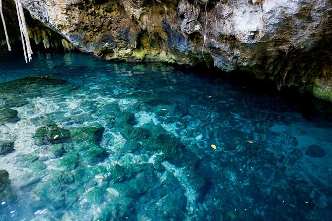 Explore Tulum and Dos Ojos Cenote with lunch and transportation - The Madre Naturaleza sculpture at the start