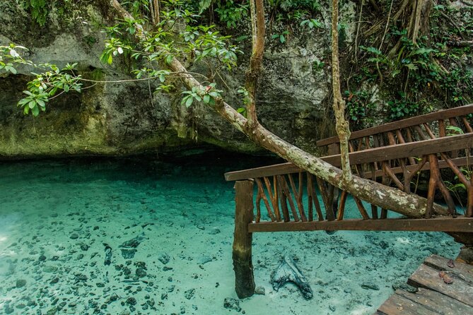 Explore Tulum and Dos Ojos Cenote with lunch and transportation - What the $175 price really covers