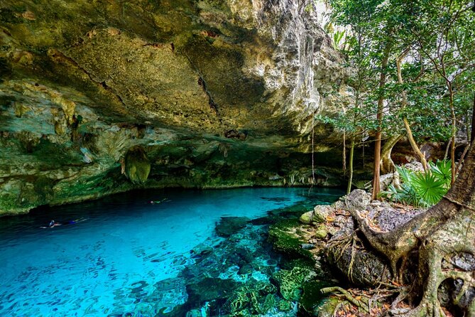 Explore Tulum and Dos Ojos Cenote with lunch and transportation - Pickup, group size, and the long ride home
