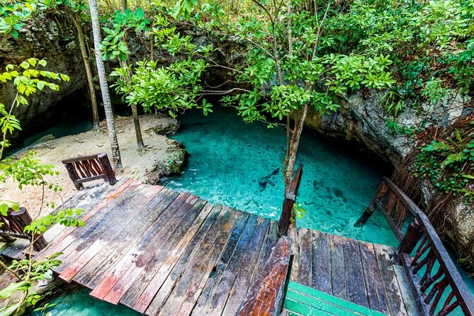 Explore Tulum and Dos Ojos Cenote with lunch and transportation - Who will get the most from this tour