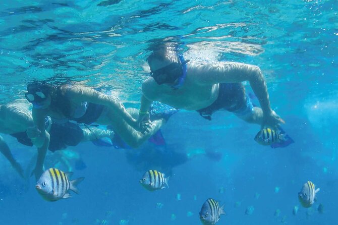 Fast & Fun: Cancun Speedboat Tour with Snorkeling - What the 2-hour-30-minute schedule really means