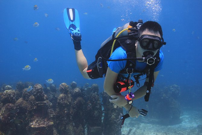 For certified Divers Experience the Under Water Museum and the Manchones Reef - Who will get the most from this experience