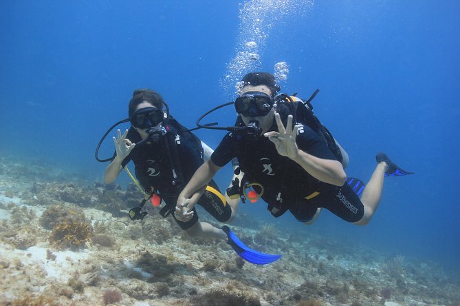 For certified Divers Experience the Under Water Museum and the Manchones Reef - Weather, cancellation, and small practical cautions
