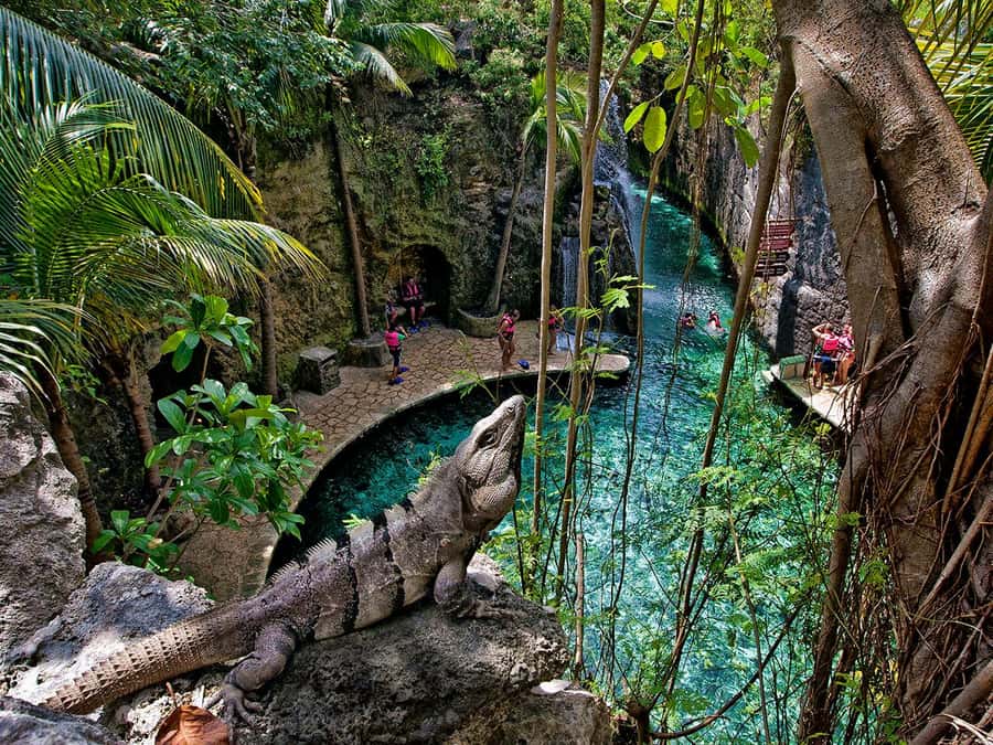 From Cancun: Complete Combo to Xcaret Park! - Choosing between the regular and Plus tickets