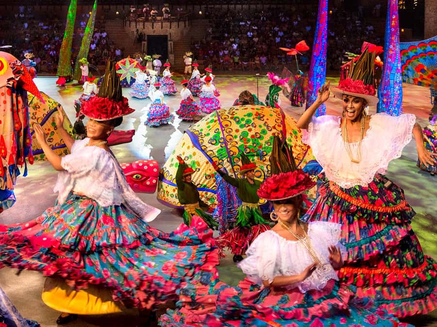 From Cancun: Complete Combo to Xcaret Park! - Wildlife areas and rainforest paths