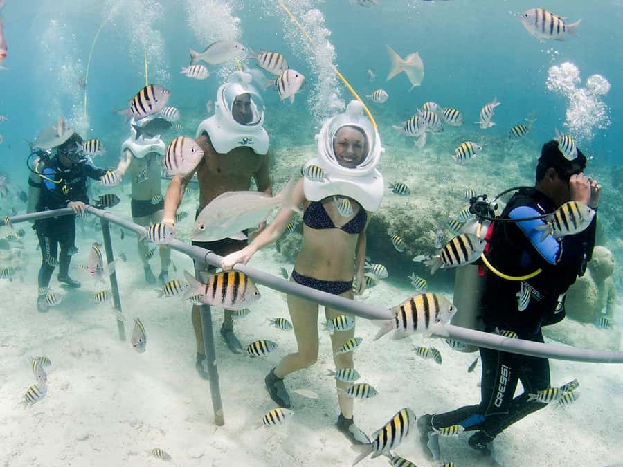 From Cancun: Complete Combo to Xcaret Park! - What the $165 price really includes