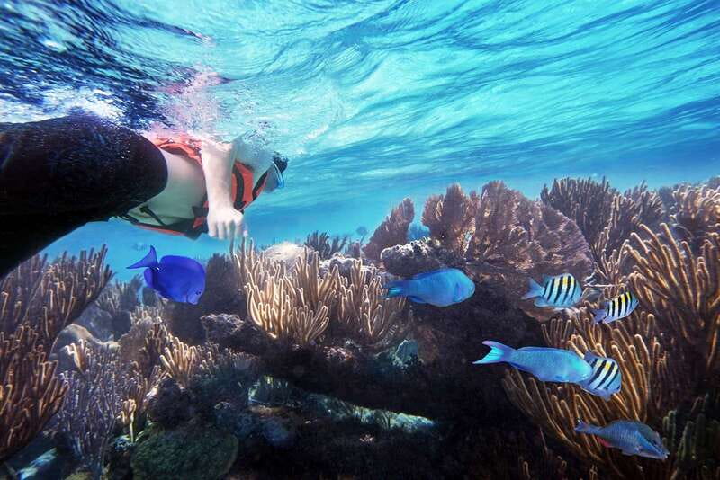 From Cancun: Garrafon Reef Park Admission with Ferry Tickets - Snorkeling over the reef