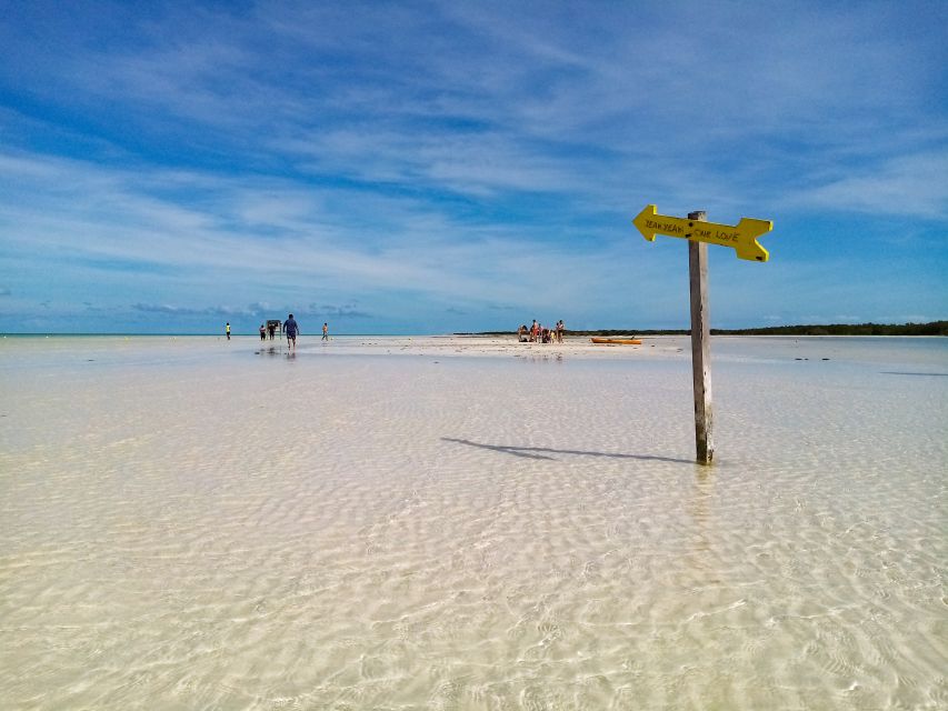 From Cancun or Puerto Morelos: Holbox Boat Tour with Lunch - Should you book the Holbox boat tour?