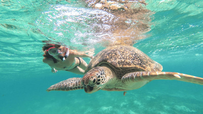 From Cancun: Tulum and Akumal Cenote and Turtle Swim Tour - What to pack and what to leave behind